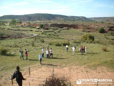 Yacimiento Arqueológico Celtibérico y Romano de Tiermes; excursiones organizadas desde madrid